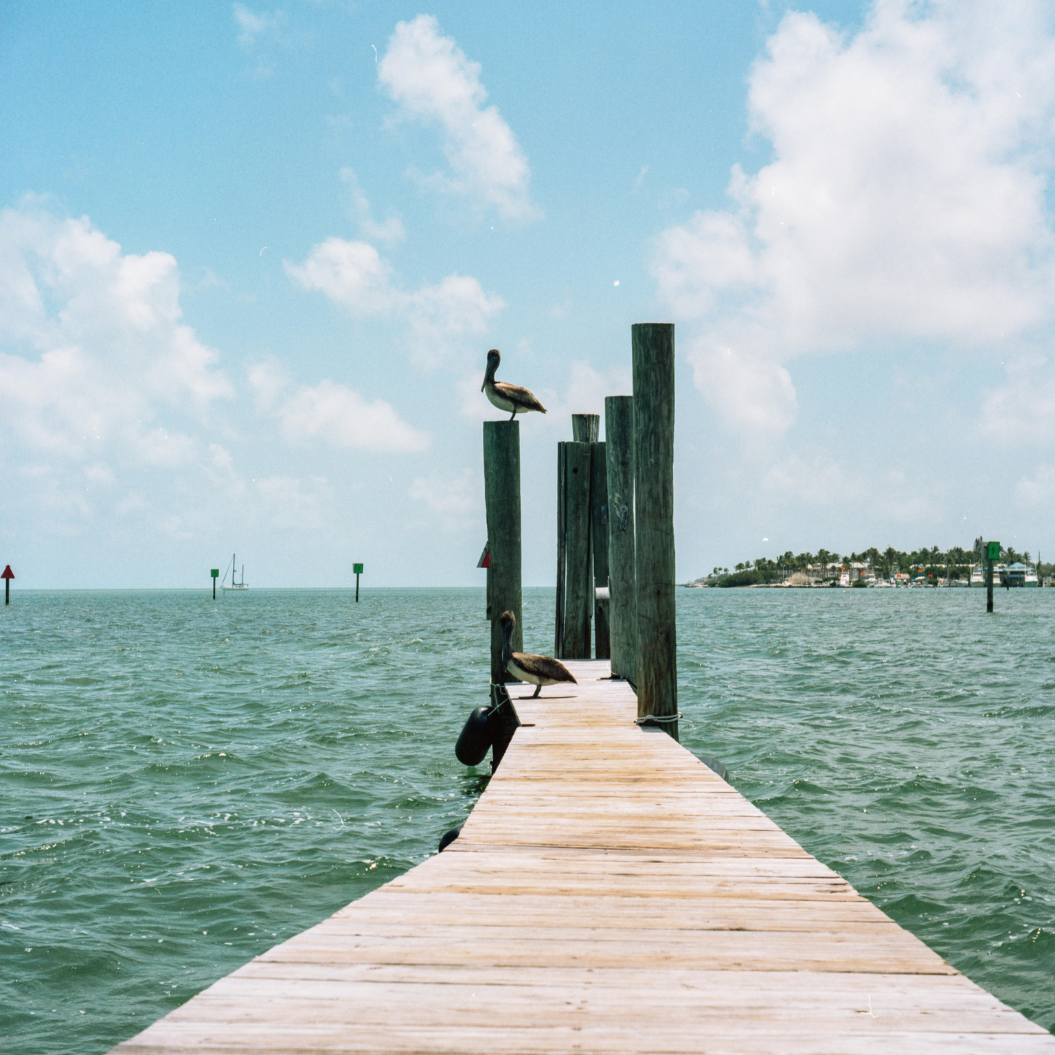 Sunny day in Florida